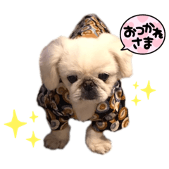 YuKaRi_20210814102948