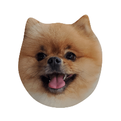 Ayumi_20210813200007