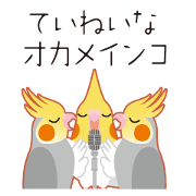 Cockatiel of polite talking