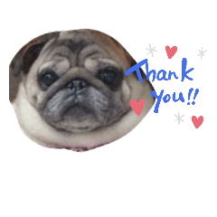 hikari_20210813212325