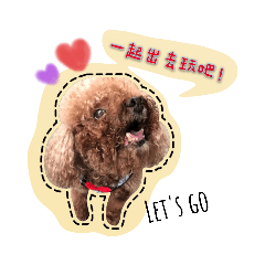 我是可愛Gucci酷吉狗