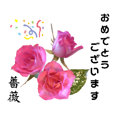 Flowers and kanji