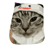 miteyo