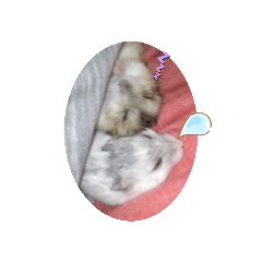 Asuka_20210814002441