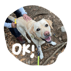 Asuka_20210813213724