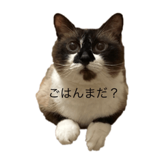 arisa_20210813220324