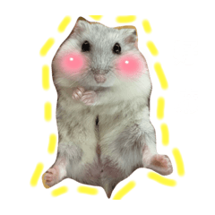 賽琳！
