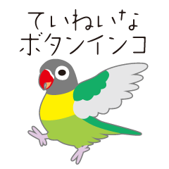 ていねいな口調のボタンインコ