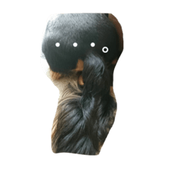 kitadasanchinorikusan1