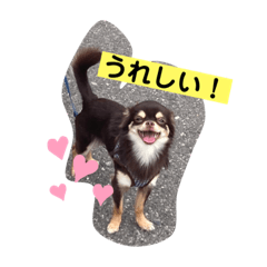 hikari_20210814082824