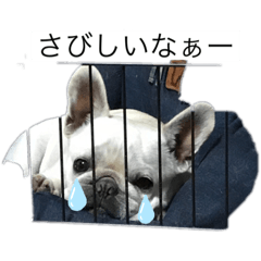 KANAE_20210814104446