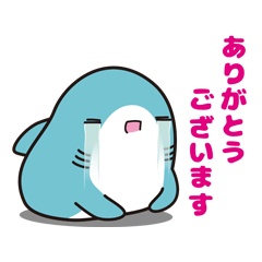 さめおスタンプ Vol.1 - LINE スタンプ | LINE STORE