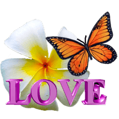 butterfly and flowers