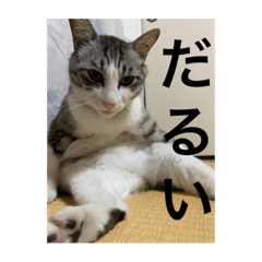 AOZORA_20210812181516