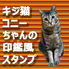 キジ猫コニーちゃんの印鑑風スタンプ
