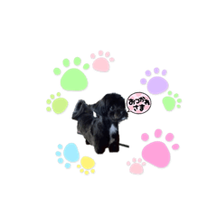 yukari_20210814105328