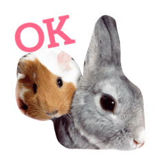 うさぎとモルモット Line スタンプ Line Store うさぎとモルモット Line スタンプ Line Store