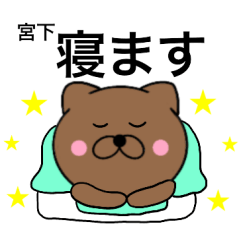 Name cat Miyashita