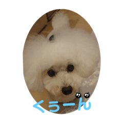 OMOCHI_20210814183207