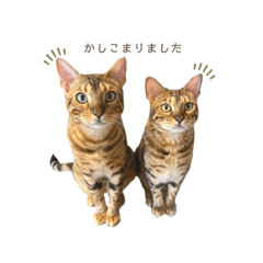 ASAKO_20210813124052