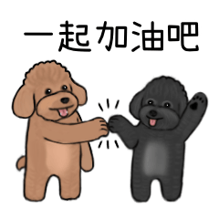 Poodle Club : useful stickers
