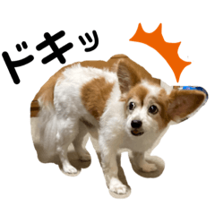 aozora_20210814003447