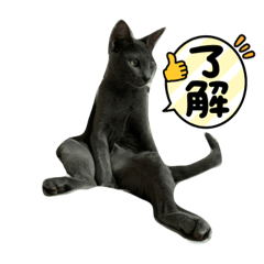 kazuki_20210814152934