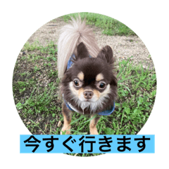 ayumi_20210814152956