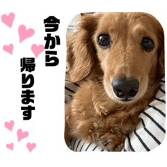 natsumi_20210814134407