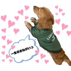 natsumi_20210814163556