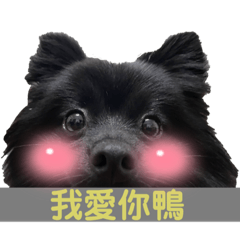 好好鴨