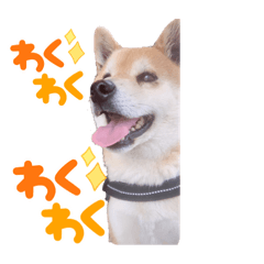 ayumi_20210814173517