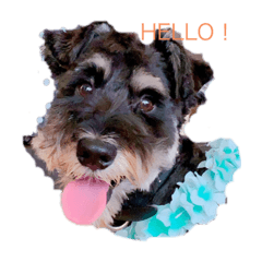 Emily_20210814171524