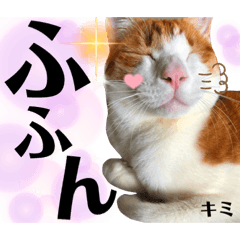 asuka_20210815092742