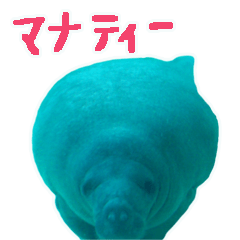 manatee02