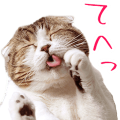 まんまる猫の どんぐり Line スタンプ Line Store