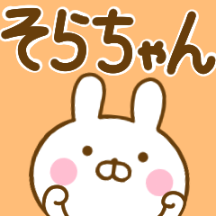 Rabbit Usahina sorachan