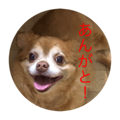 chie_20210814193144