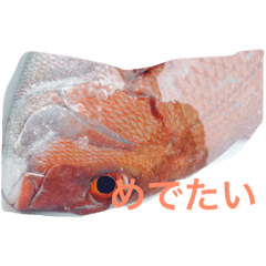 my fishing result 2017.9