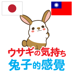 Feeling of Rabbit Taiwanese&Japanese
