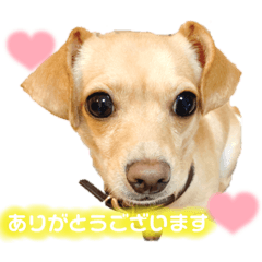 saya_20210814225821
