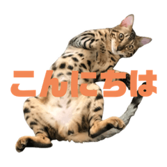 Kii_20210814232318