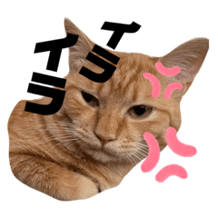 めんまぁぁあ２