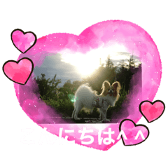 yukari_20210815145848