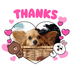 yukari_20210815145502