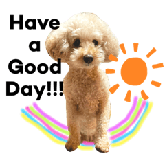 Tomomi_20210815022837