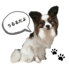 YUKA_20210815103738