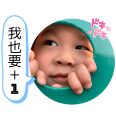 荃の日常