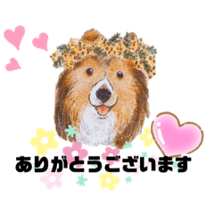Chihiro_20210815185647