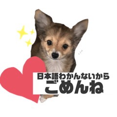 TOMMY_20210815161951